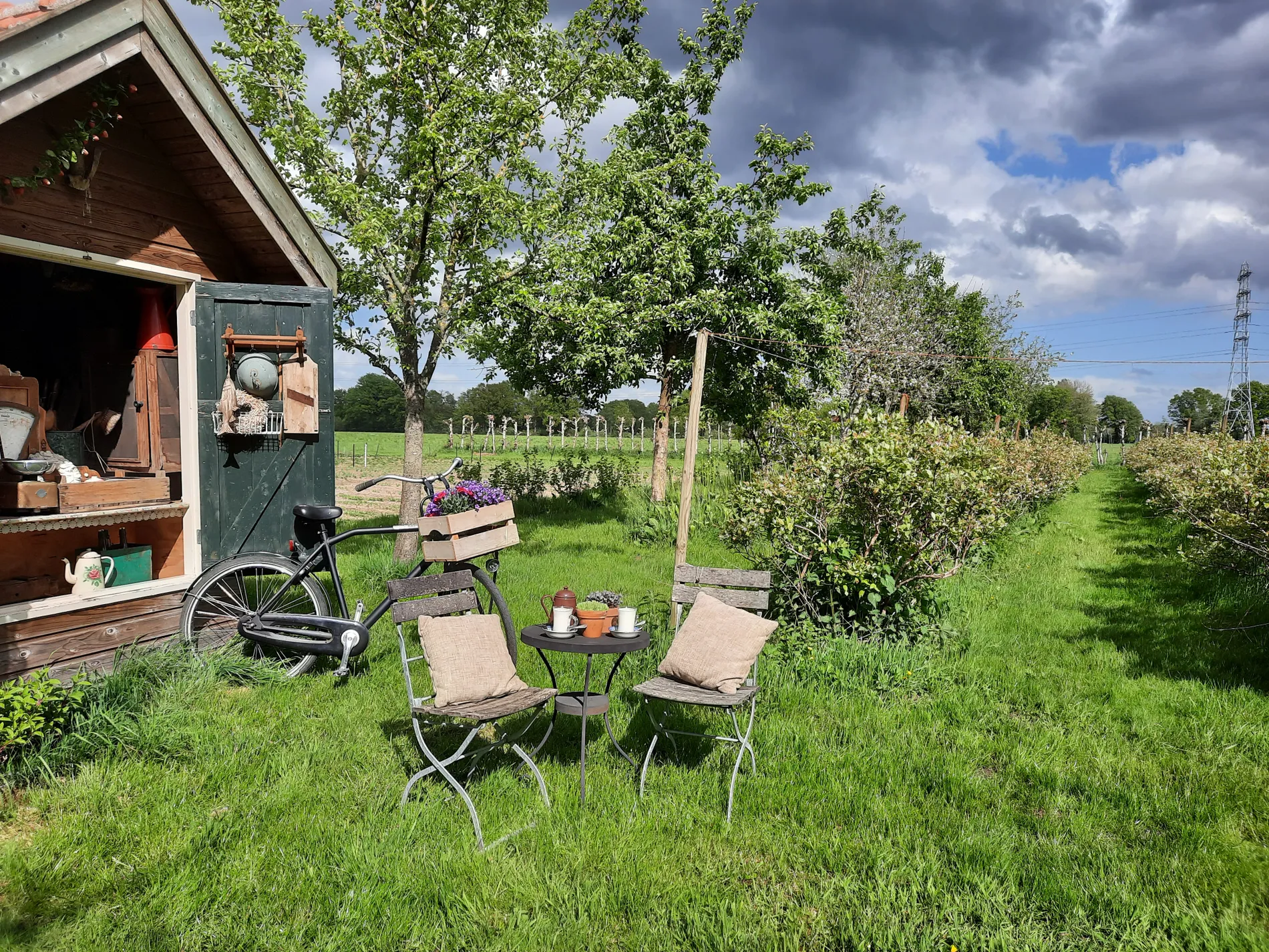 Grasveld met twee stoelen in weideachtige omgeving.