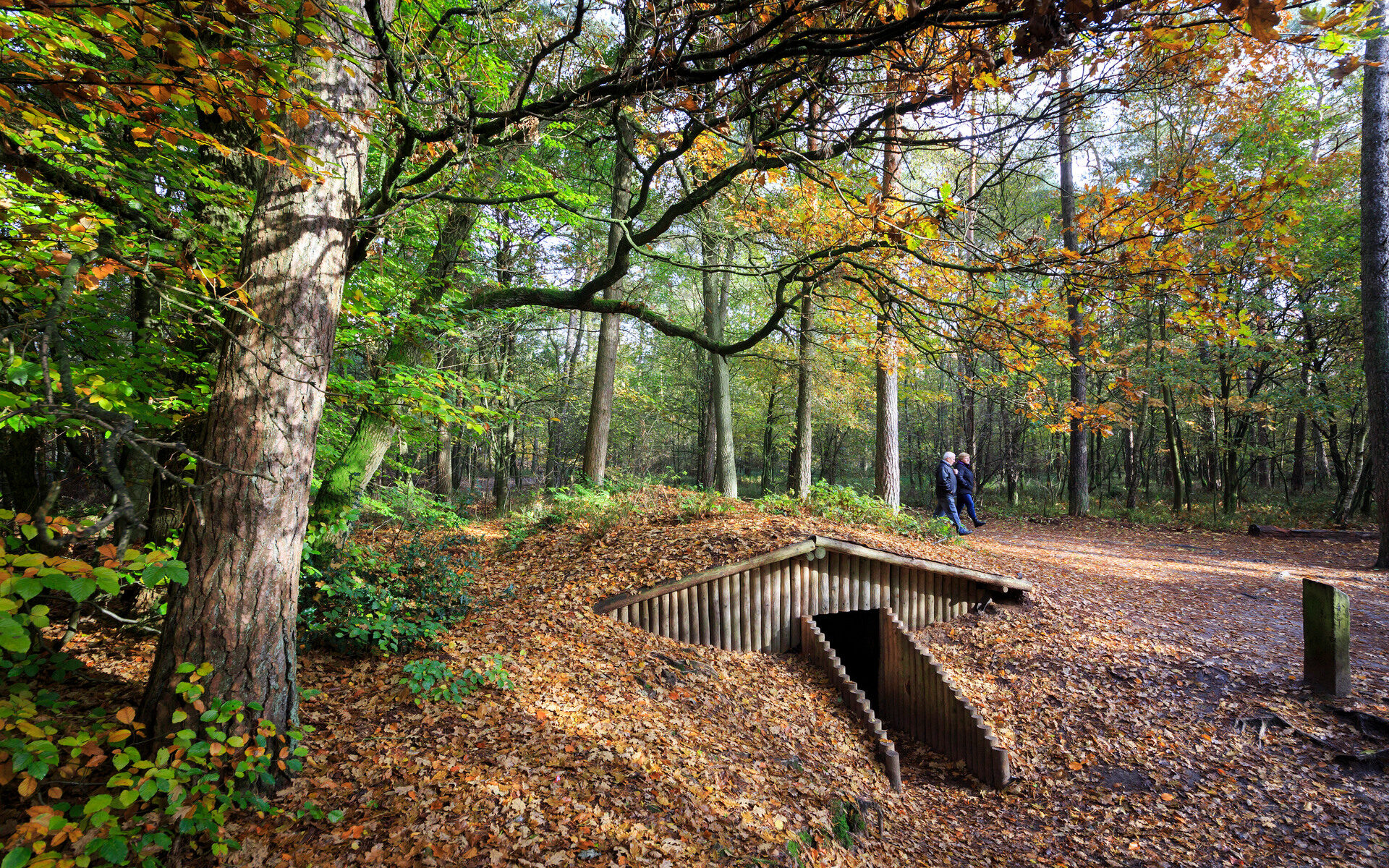 Houten ingang van een tunnel te midden van een bos met herfstbladeren. Een echtpaar wandelt er achterlangs.