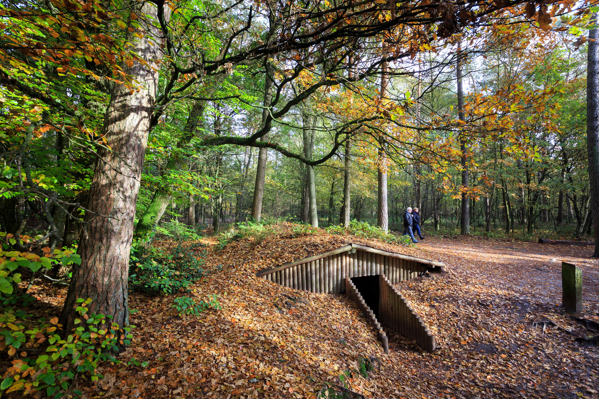 Houten ingang van een tunnel te midden van een bos met herfstbladeren. Een echtpaar wandelt er achterlangs.