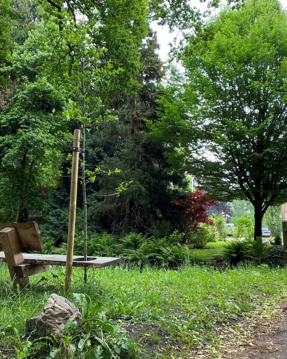 Luisterbankje bij Landgoed Vosbergen in Heerde langs het Vosbergerpad.