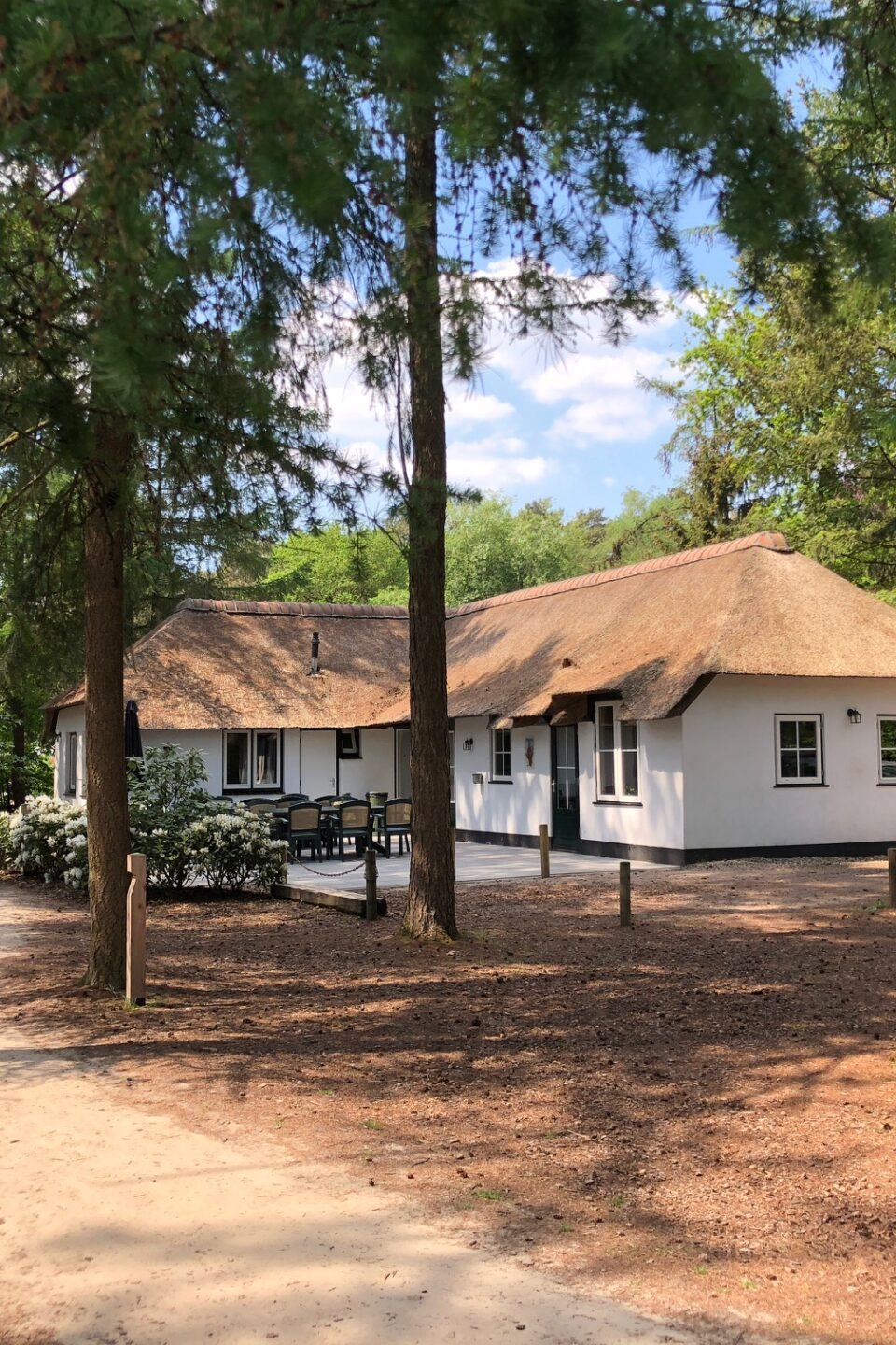 Een groepsaccommodatie met rieten dak omringd door bomen in het bos.