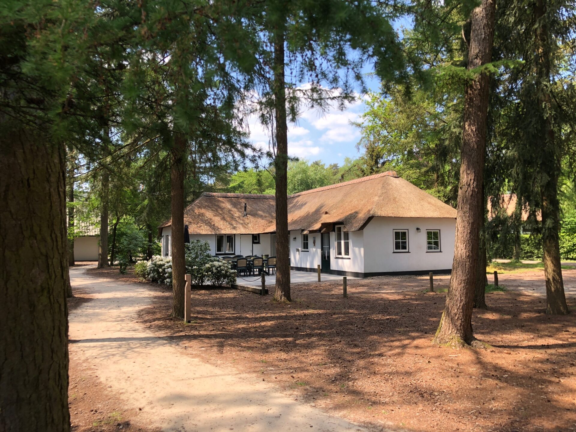 Een groepsaccommodatie met rieten dak omringd door bomen in het bos.