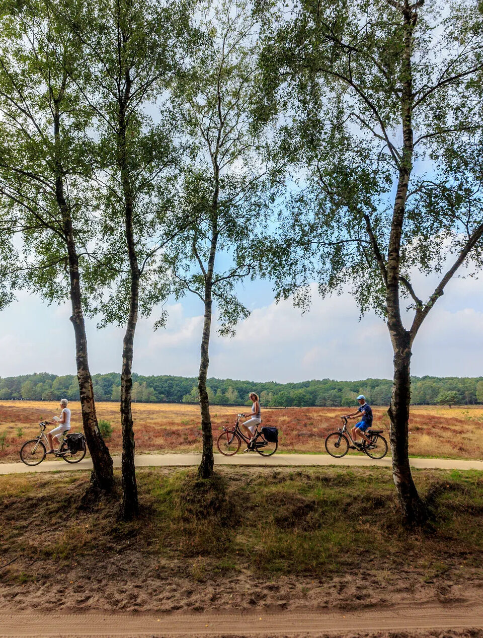 Groep mensen fietst door natuur