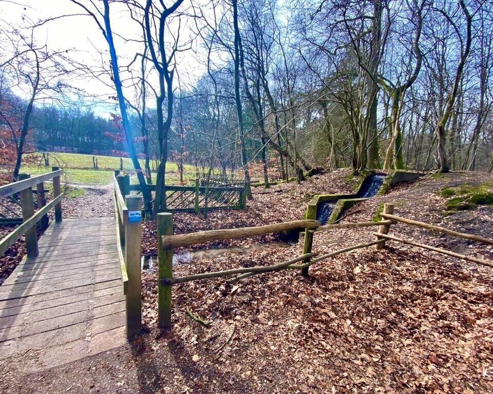 Klein houten bruggetje in natuurgebied