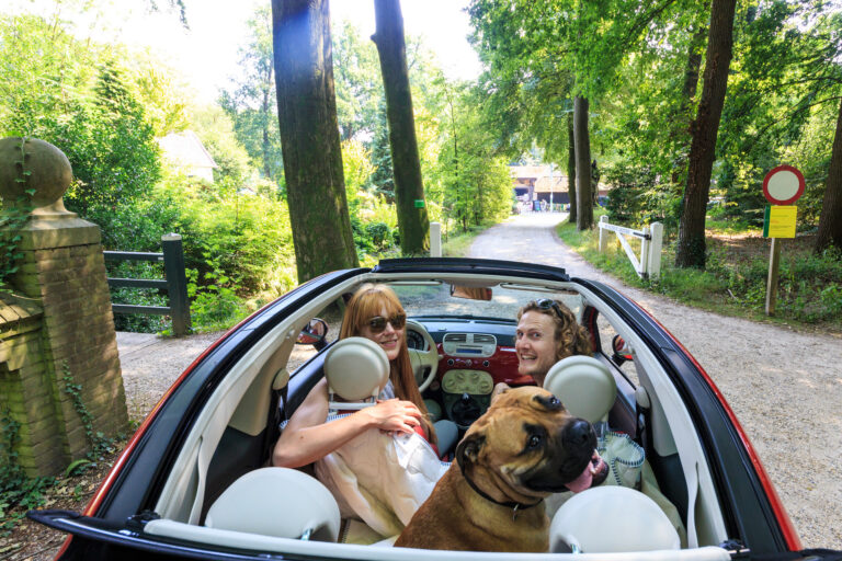 Wat te doen op de Veluwe? Van activiteiten tot highlights