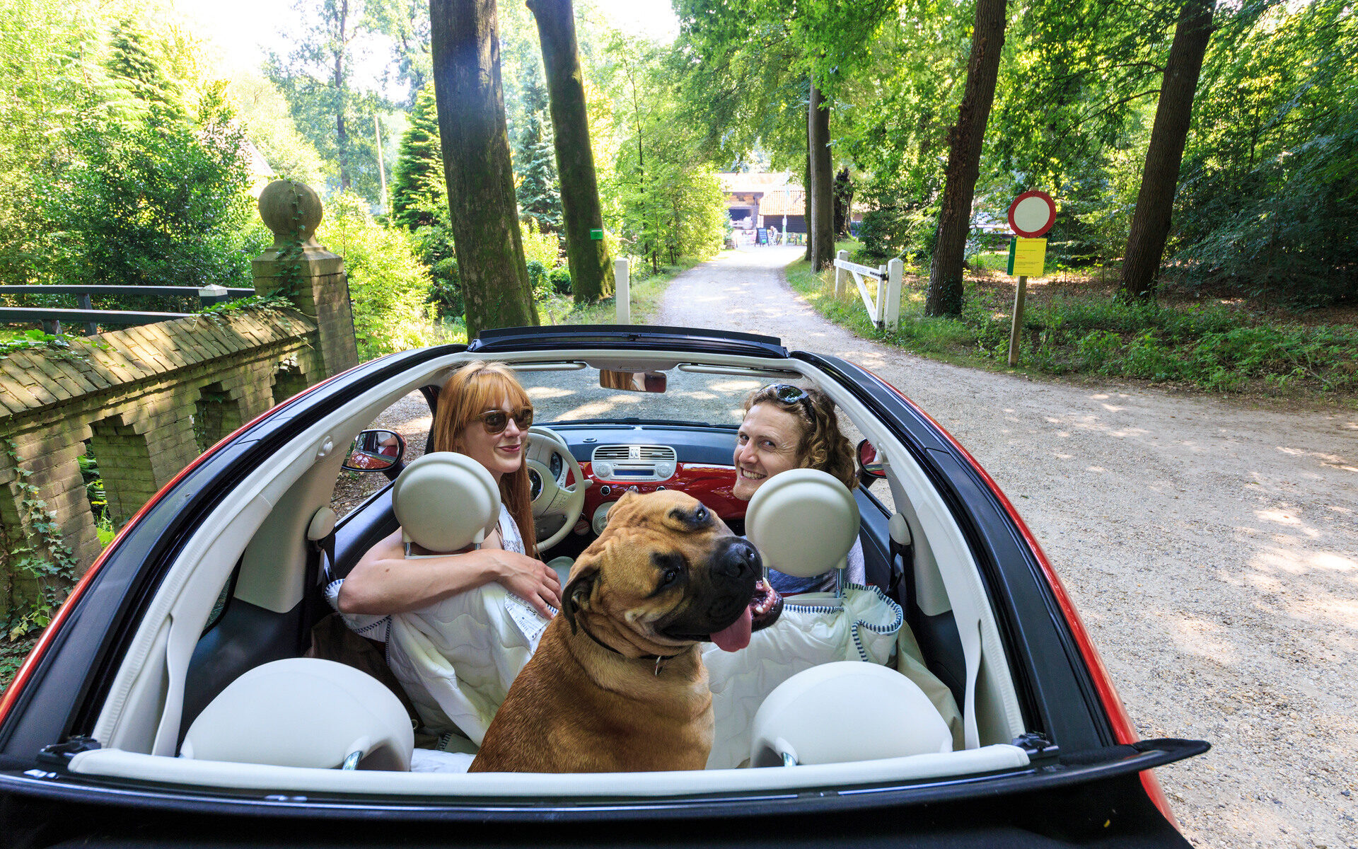 Mensen in de auto samen met een hond