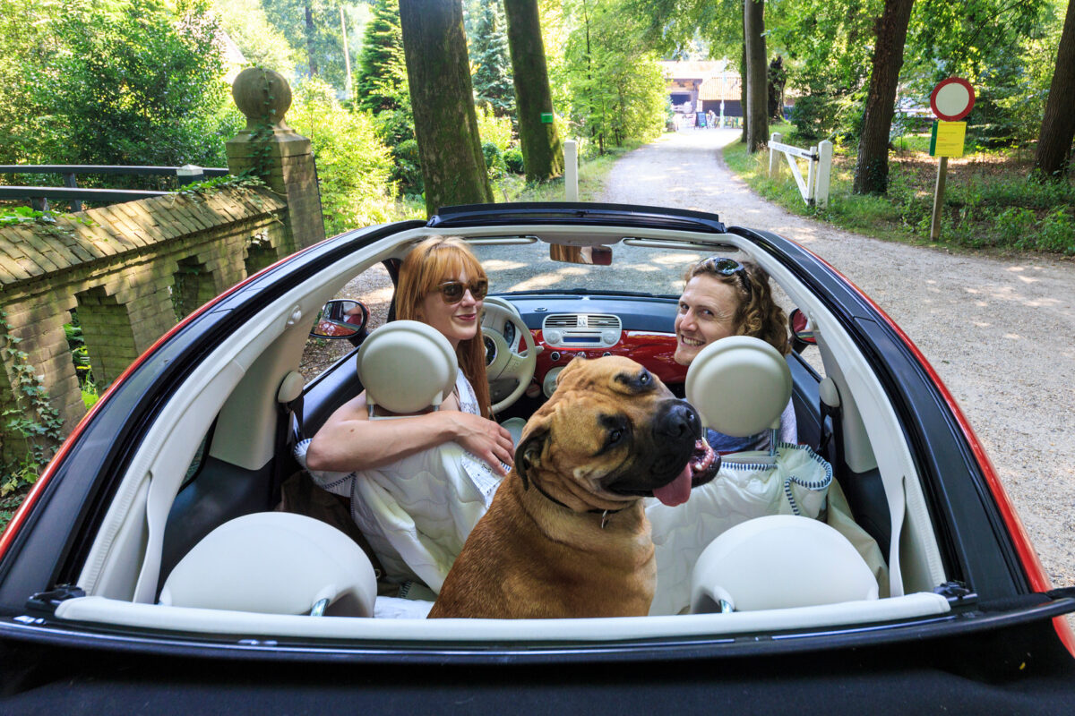 Mensen in de auto samen met een hond