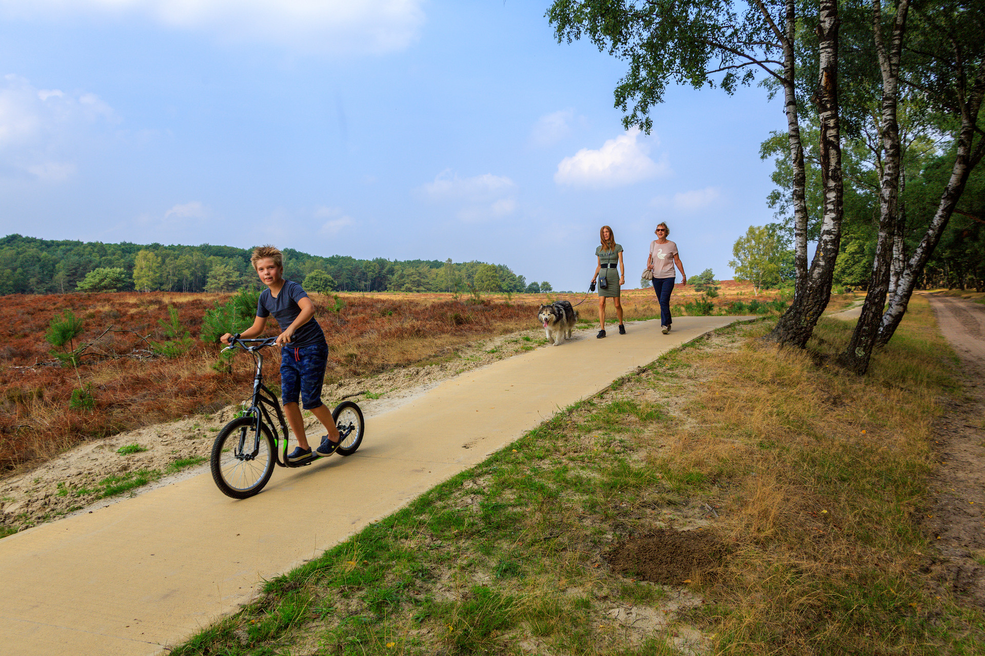 Twee mensen wandelen met hun hond bij Otterlo.