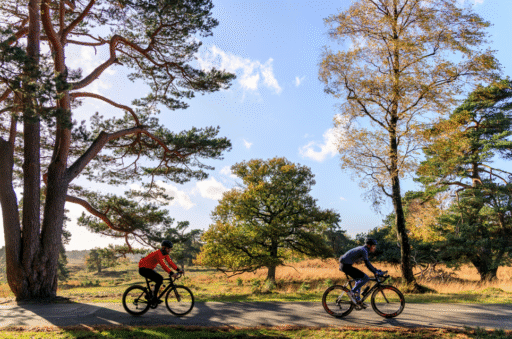 Routes op de Veluwe