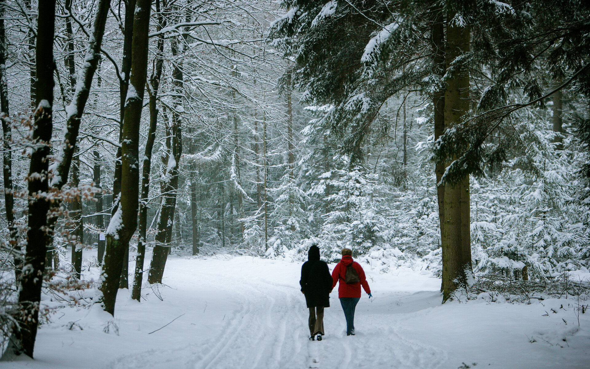 2 mensen die op een winterse dag, met sneeuw, een wandeling maken door de natuur en het bos