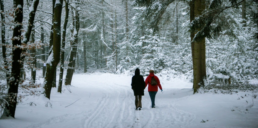 2 mensen die op een winterse dag, met sneeuw, een wandeling maken door de natuur en het bos