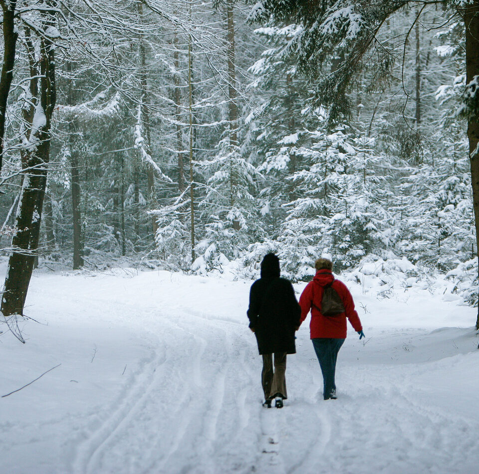2 mensen die op een winterse dag, met sneeuw, een wandeling maken door de natuur en het bos