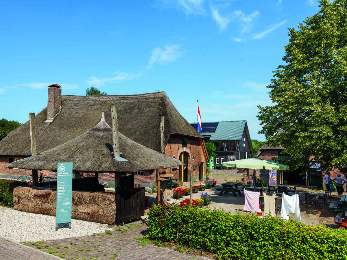 Boerderij met riet dak op de Veluwe