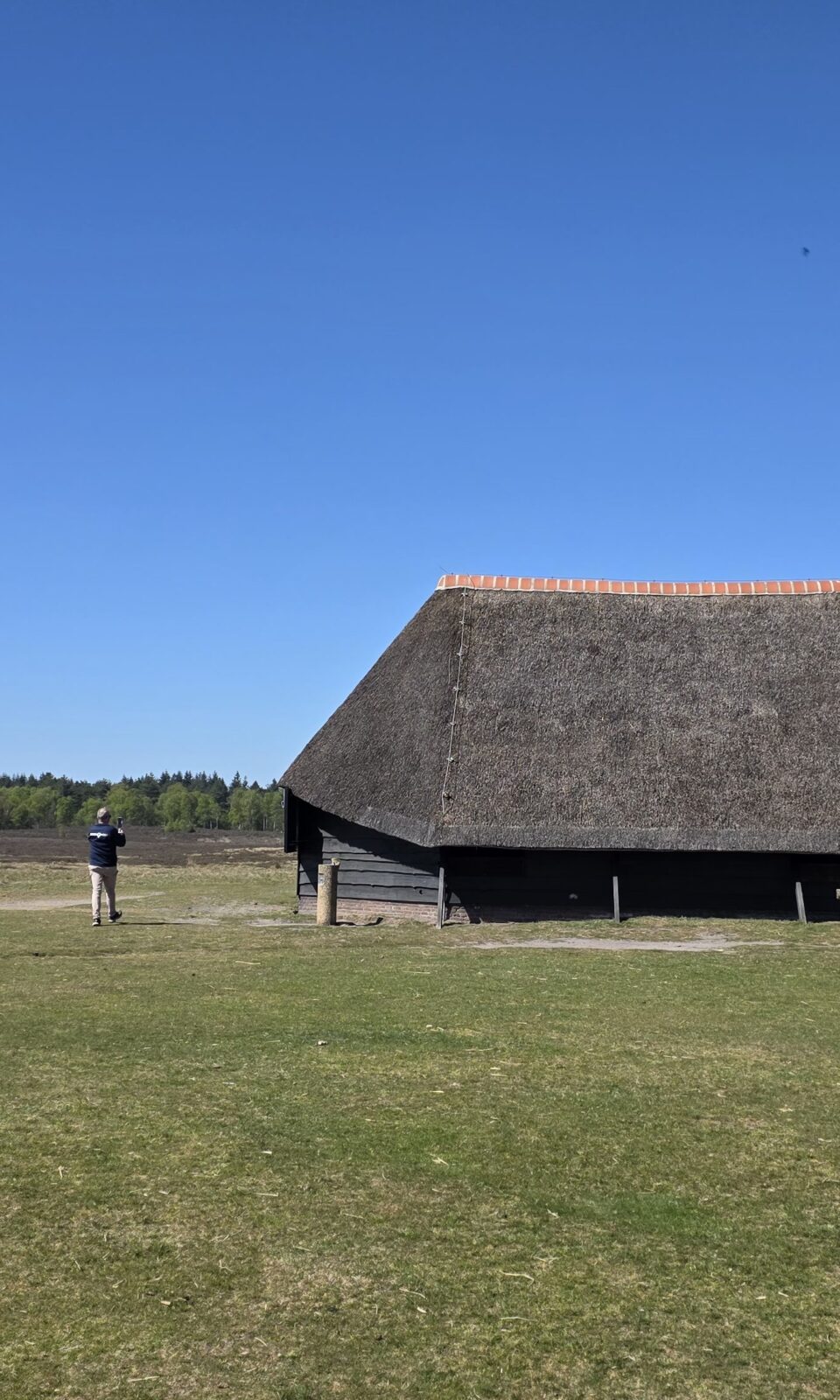 Reishonger x Veluwe