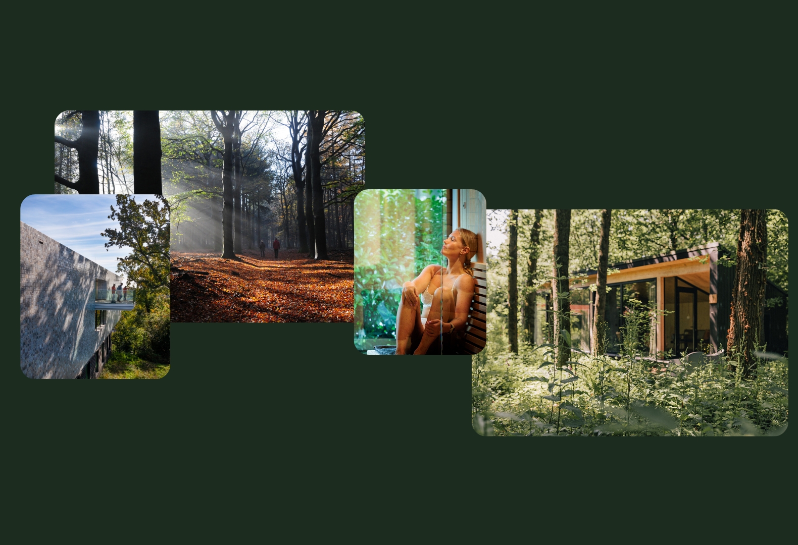 Herfst op de Veluwe