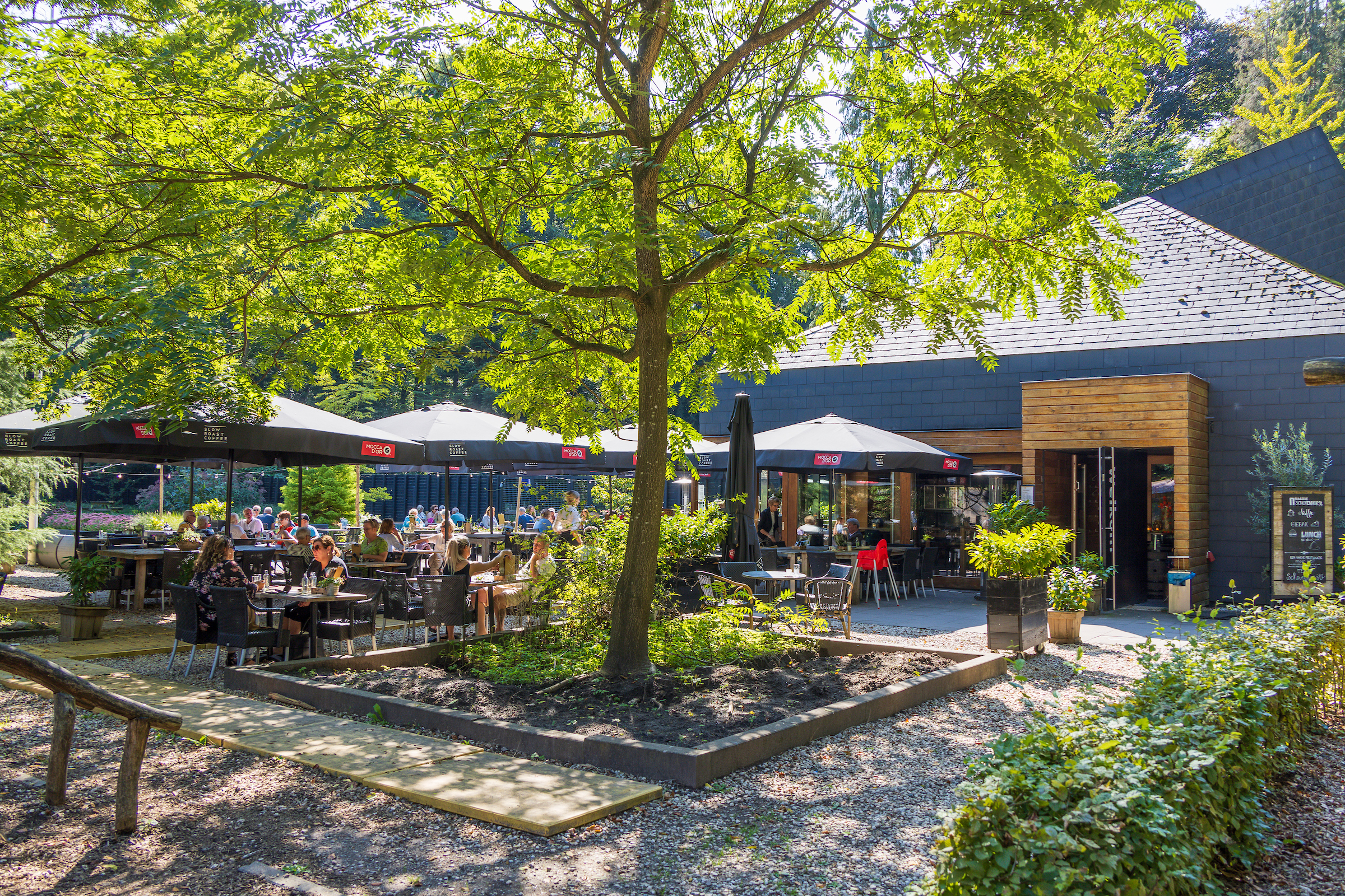 een boom die midden voor een terras staat met een gebouw rechts op de achtergrond